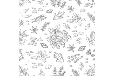 Hand drawn spices pattern. Herbs and vegetables seamless background, A