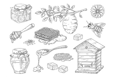 Hand drawn honey. Vintage bee honeycomb and honey jar sketch elements,