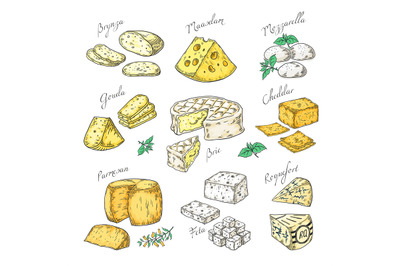 Hand drawn cheese. Doodle appetizers and food slices, different cheese