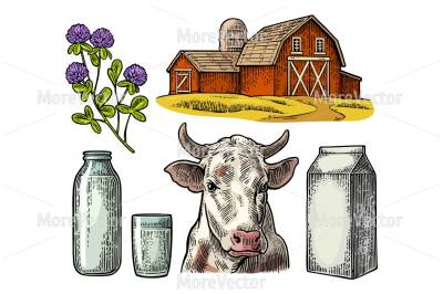Set Milk farm. Cow head, clover, box carton package, glass and bottle. Vector engraving vintage 