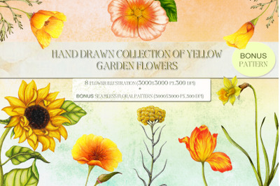 Hand drawn garden flowers set+bonus