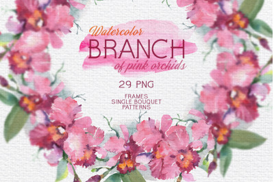 Branch of pink orchids Watercolor png