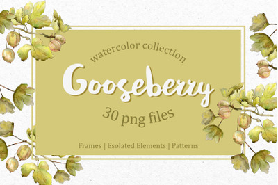 Watercolor Gooseberry PNG collection