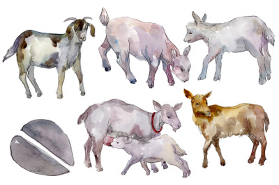 Farm animals: goat Watercolor png