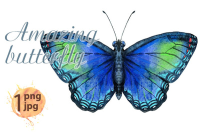 Watercolor blue butterfly