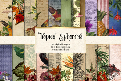 Tropical Ephemera Digital Paper