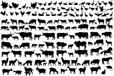 150 farm animals