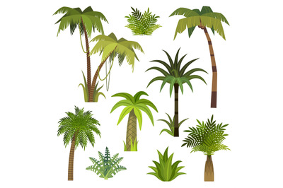 Cartoon palm tree. Jungle palm trees with green leaves, exotic hawaii