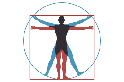 Vitruvian man. Leonardo da vinci human body perfect anatomy proportion