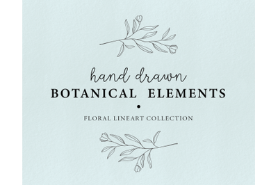 Modern floral illustrations - doodle leaves clipart, floral elements