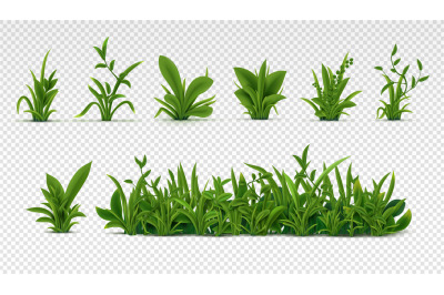 Realistic green grass. 3D fresh spring plants, different herbs and bus