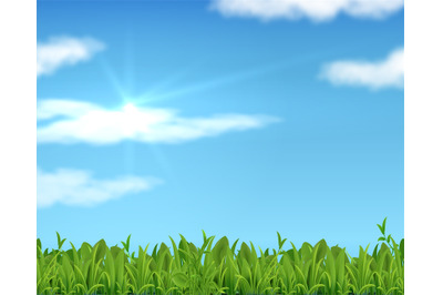 Realistic lawn and sky. 3D spring grass background with sun and clouds