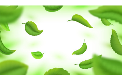 Realistic green falling leaves. Fresh flying blurred leaves isolated o