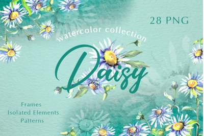Daisy flower green watercolor png