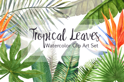 Watercolor Tropical Leaves Clip Art Set