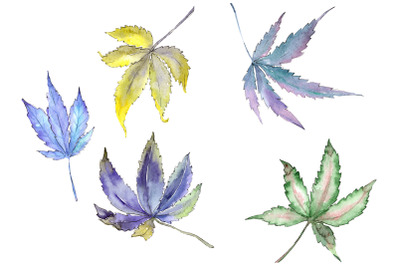 Cannabis plant watercolor png