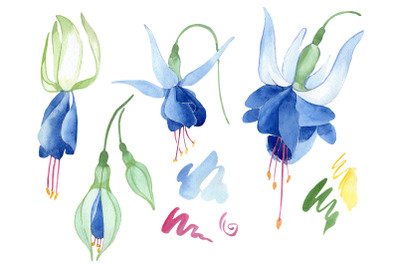 Fuchsia blue watercolor png