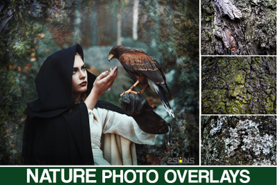 Fern overlay, Halloween overlay, Tree overlay photoshop, Wood backdrop