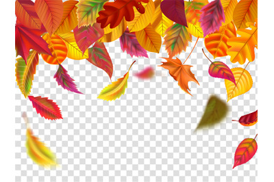 Autumn leaves fall. Falling blurred leaf, autumnal foliage fall and wi