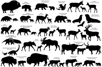 Silhouettes of 21 animal species of America with cubs