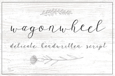 Wagonwheel Delicate Handwritten Script