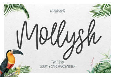 Mollysh Calligraphy Font