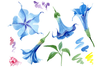 Brugmansia soft blue watercolor png
