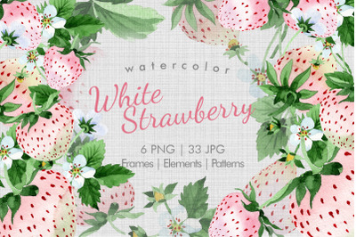 White Strawberry Watercolor Clipart, Digital Art, Fruit, Food, Hand Pa