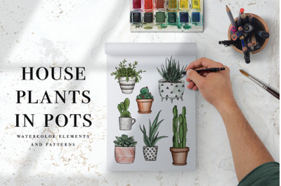 House plants in pots. Watercolor illustrations and seamless patterns