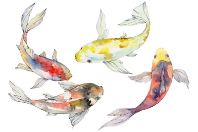 Magic Gold Fish Watercolor Clipart, Watercolor Set, Hand Painted Fish