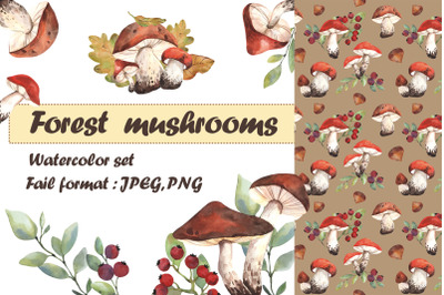 Forest mushrooms watercolor set