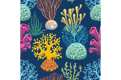 Seaweeds colorful background