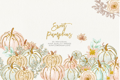 Pumpkin Clip Art&2C; Pastel Hand Drawn Autumn Graphics