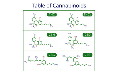 Cannabis skeletal cbd formula. Marijuana molecules vector set