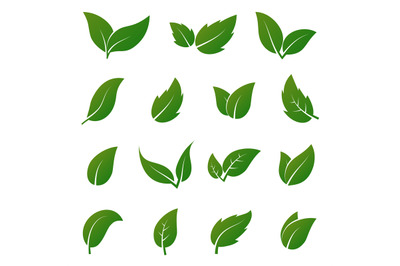 Green leaf vector icons. Spring leaves ecology symbols