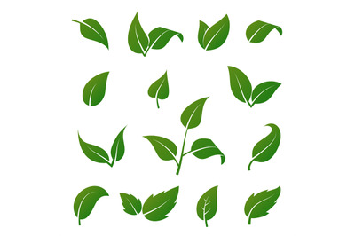 Green tree and plant leaves vector icons isolated on white background.