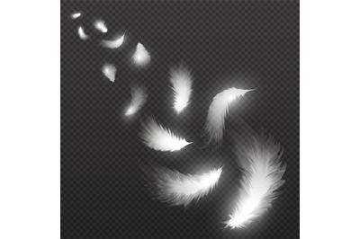 Flying light swan feathers plume on black background vector illustrati