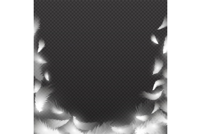 Abstract background with white fluffy feathers. Vector feather frame