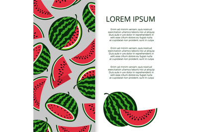 Bright vector watermelons banner template