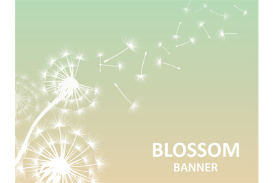 Blossom banner background with dandelion white silhouette