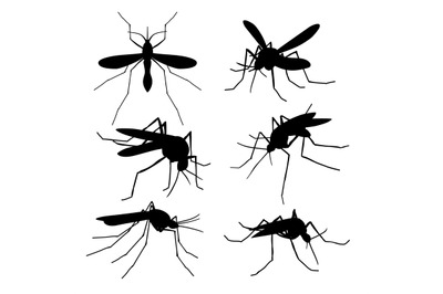 Closeup mosquito silhouettes isolated. Flying macro mosquitoes vector