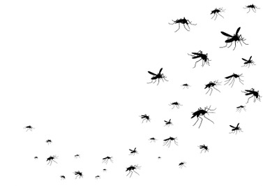 Flying mosquitoes black silhouette isolated. Insect flock in air. Viru