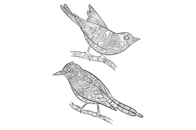 Coloring pages for adults. Little wild birds for with pattern vector i