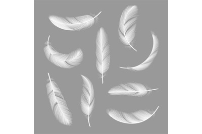 Feathers realistic. Flying furry weightless white swan objects vector