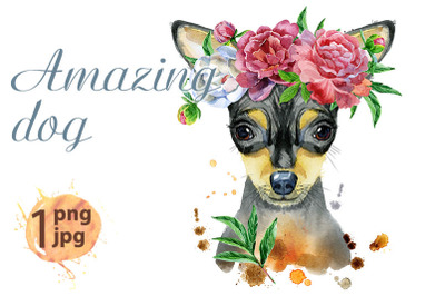 Watercolor portrait of toy terrier with flower