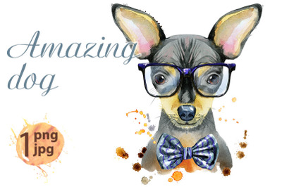 Watercolor portrait of toy terrier with bow-tie and glasses