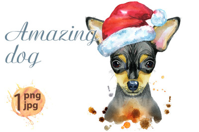 Watercolor portrait of toy terrier with Santa hat