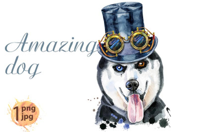 Watercolor portrait of husky with black hat topper and steampunk glass