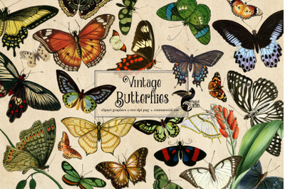 Vintage Butterfly Clipart