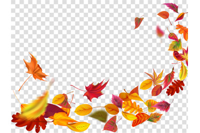 Autumn falling leaves. Leaf fall, wind rises autumnal foliage and yell